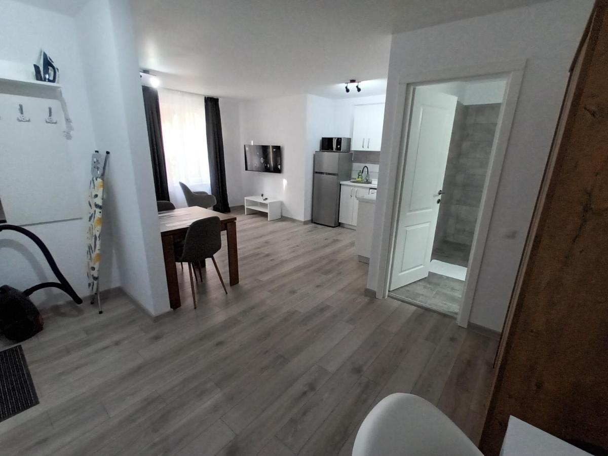 Old Town Studio Apartments Baia Mare Exterior foto
